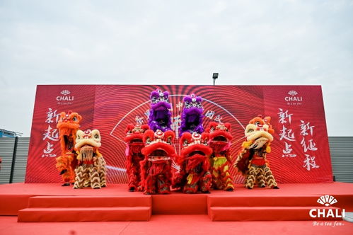 茶里集团南沙总部落成,加速中国高端袋泡茶产品标准化 工业化 科技化发展进程