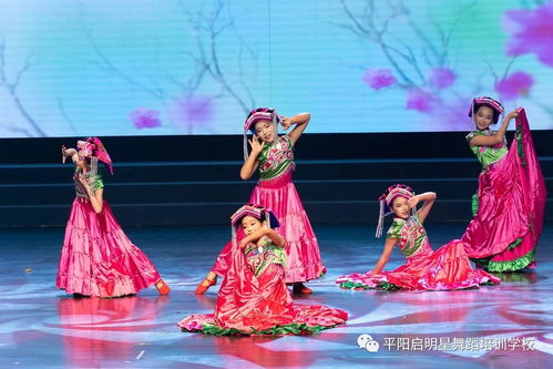 启明星舞校群舞 醉山寨 圆满参加北京国家大剧院全国舞蹈人春晩精品场演出