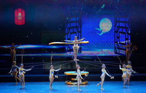 leran 英语学习 int l circus festival kicks off north china