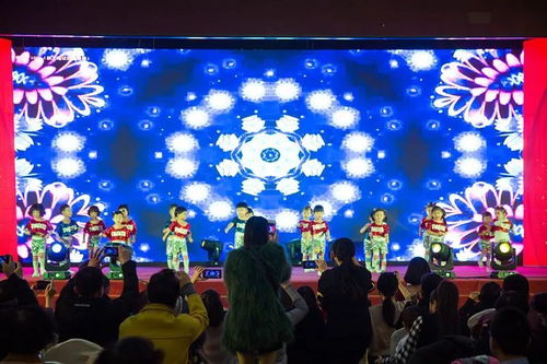 牡丹花开动普湾 恭贺七彩阳光国际幼儿园元旦演出圆满成功